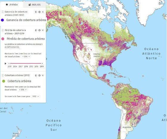 Mapa de pérdida, ganancia y cobertura arbórea de 2001 a 2019